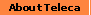About Teleca